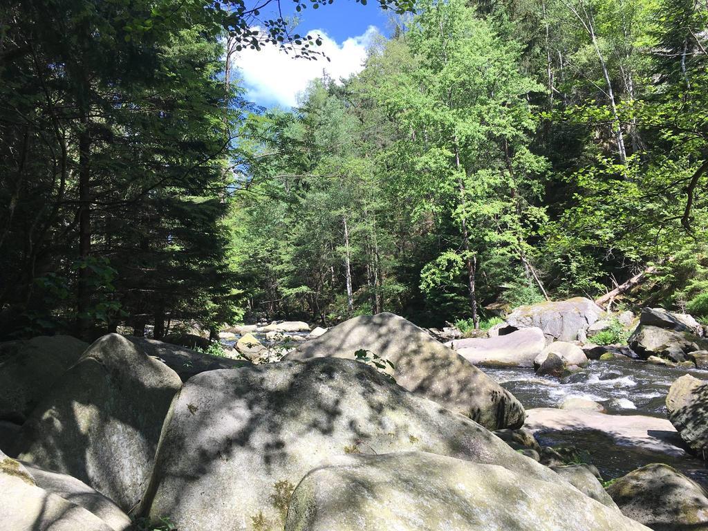 Apartman S Vyhledem Na Jezero Lipno nad Vltavou Buitenkant foto