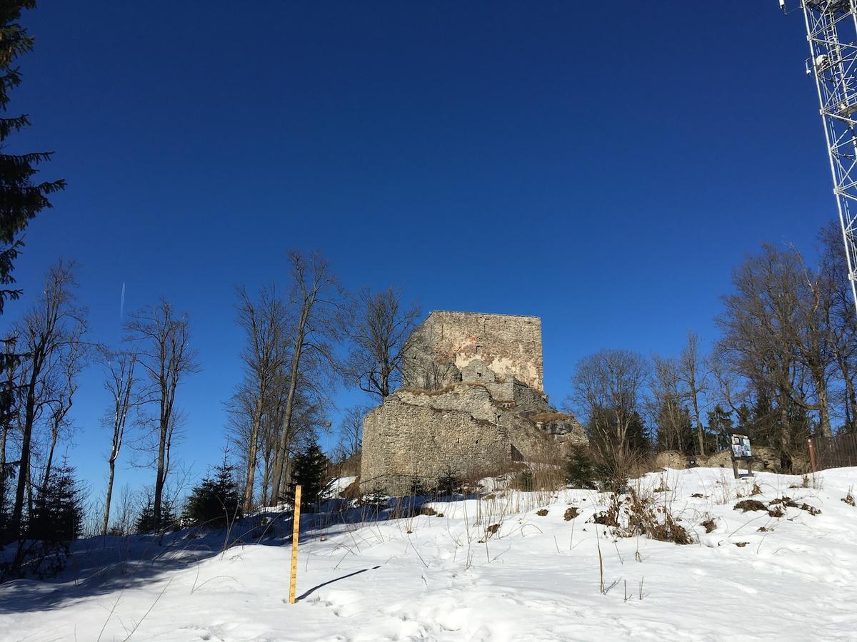 Apartman S Vyhledem Na Jezero Lipno nad Vltavou Buitenkant foto