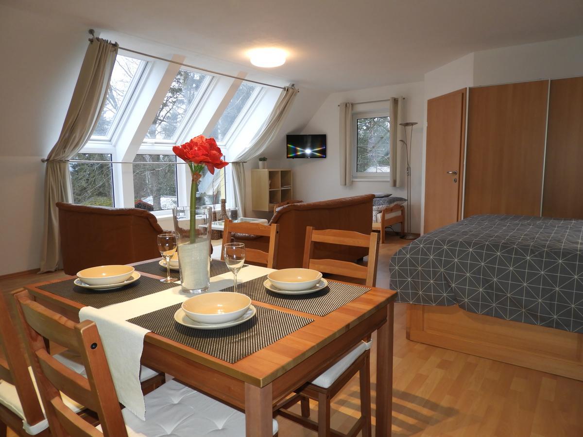 Apartman S Vyhledem Na Jezero Lipno nad Vltavou Buitenkant foto